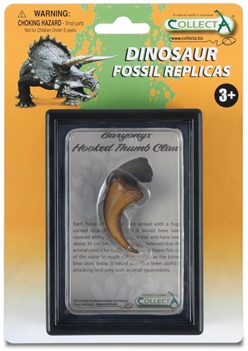 COLLECTA Gift Set - Prehistorie